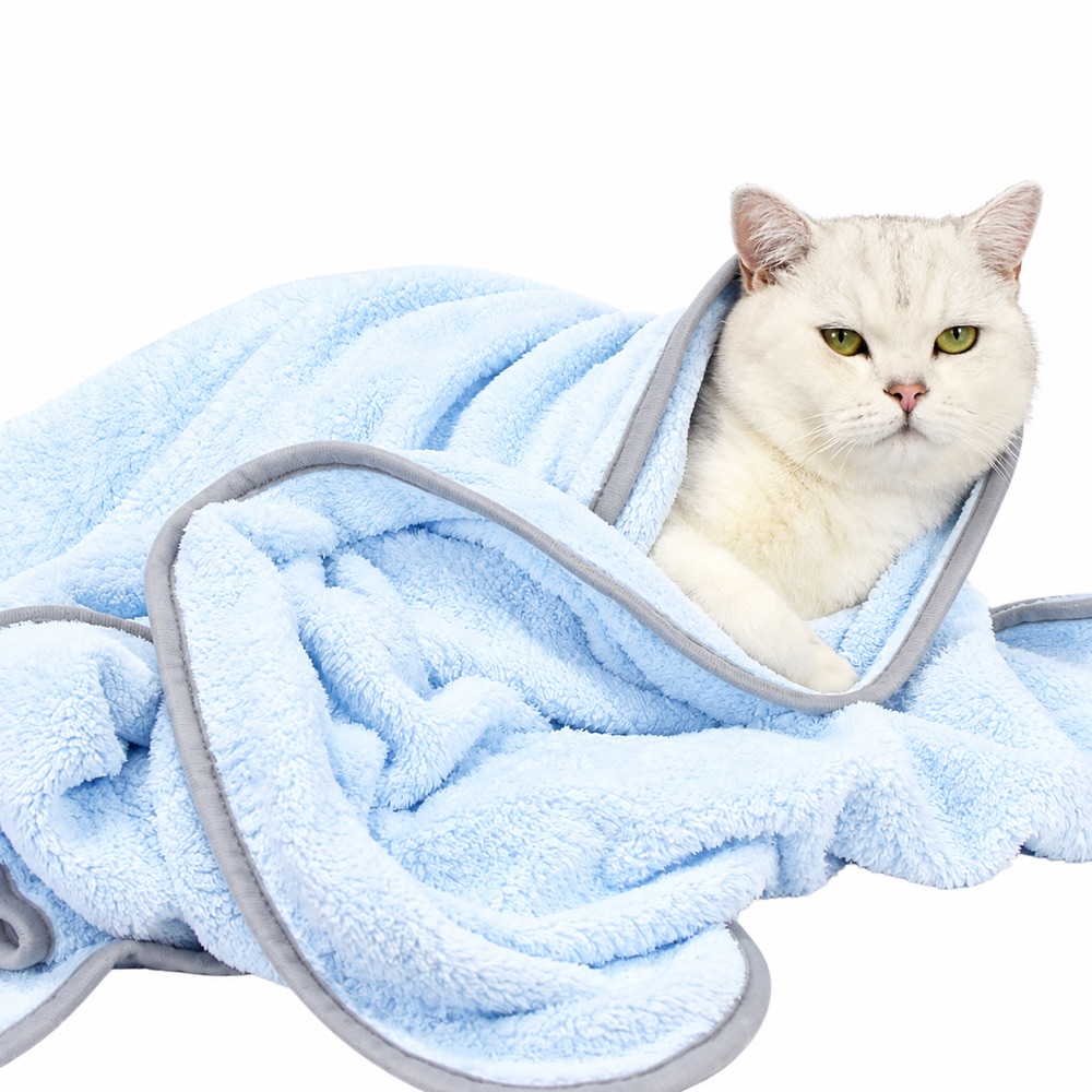 White cat wrapped in a pale blue plush pet towel on white