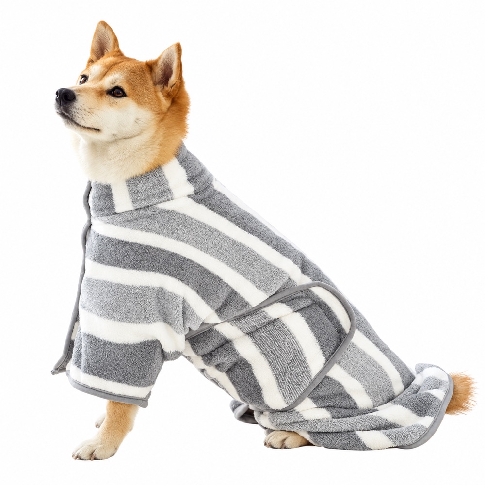 Dog wearing a belted striped pet bathrobe on white